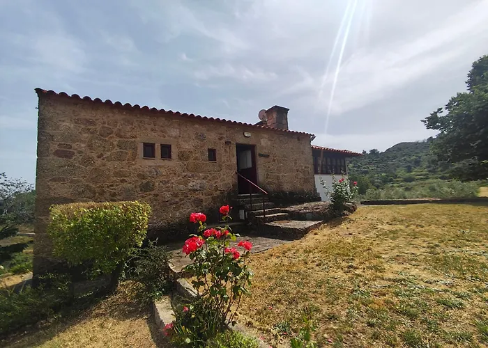 Quinta De Goncalo Holiday home
